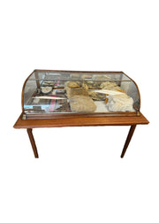 Antique Habadashery Display Cabinet - Burning Torch Online Boutique